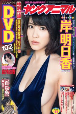 电视剧无贼